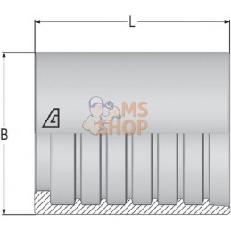 Jupe à sertir Ø17x26,5mm DN6 acier / zingué Alfagomma | ALFAGOMMA Jupe à sertir Ø17x26,5mm DN6 acier / zingué Alfagomma | ALFAGO