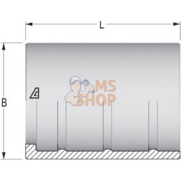 Jupe à sertir Ø38x36mm DN20 acier / zingué Alfagomma | ALFAGOMMA Jupe à sertir Ø38x36mm DN20 acier / zingué Alfagomma | ALFAGOMM