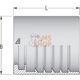 Ferrule H1200204-100000 | ALFAGOMMA Ferrule H1200204-100000 | ALFAGOMMAPR#750281