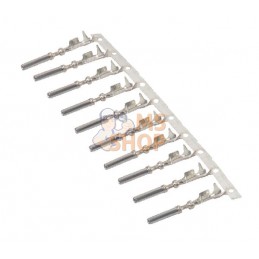 Fiche Fem. SuperSeal 1.0 | AMP/TYCO | AMP/TYCO Fiche Fem. SuperSeal 1.0 | AMP/TYCO | AMP/TYCOPR#824501