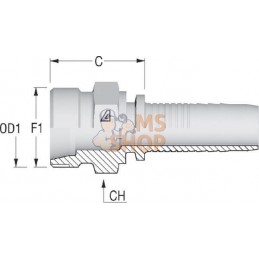 Raccord DN06-M14x150-8L | ALFAGOMMA Raccord DN06-M14x150-8L | ALFAGOMMAPR#750568