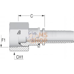 Raccord sertir DN40-1"1/2 BSP | ALFAGOMMA Raccord sertir DN40-1"1/2 BSP | ALFAGOMMAPR#749820