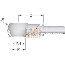 Raccord à sertir DN10-1/2 BSP | ALFAGOMMA Raccord à sertir DN10-1/2 BSP | ALFAGOMMAPR#750197