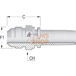 Raccord à sertir DN10-3/4 JIC | ALFAGOMMA Raccord à sertir DN10-3/4 JIC | ALFAGOMMAPR#750535