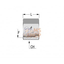 Ecrou de serrage 1/2 | ALFAGOMMA Ecrou de serrage 1/2 | ALFAGOMMAPR#912787