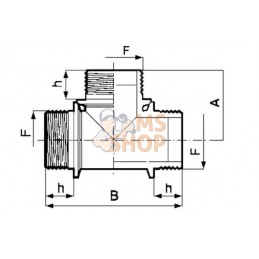 Té 3xmâle 2" | ARAG Té 3xmâle 2" | ARAGPR#609522