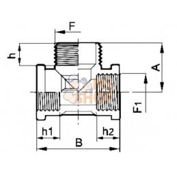 Té 2xfemelle 3/4" + 1xmâle 1" | ARAG Té 2xfemelle 3/4" + 1xmâle 1" | ARAGPR#608839