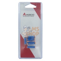 AGSI12025P006; AGCO BLISTER; Fusible stéatite 25A (6x); pièce détachée