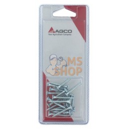 Vis p.pann.agglom. 4x30 (20x) | AGCO BLISTER Vis p.pann.agglom. 4x30 (20x) | AGCO BLISTERPR#1082916
