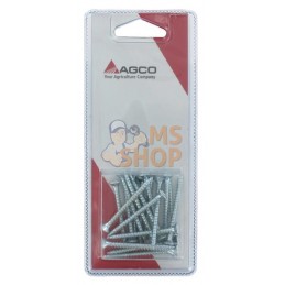Vis p.pann.agglom. 4x45 (20x) | AGCO BLISTER Vis p.pann.agglom. 4x45 (20x) | AGCO BLISTERPR#1082397