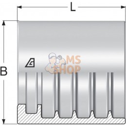 Jupe à sertir Ø22x24,7mm DN6 acier / zingué Alfagomma | ALFAGOMMA Jupe à sertir Ø22x24,7mm DN6 acier / zingué Alfagomma | ALFAGO