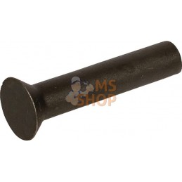 Rivet 661 5x25 Amazone | AMAZONE Rivet 661 5x25 Amazone | AMAZONEPR#608044
