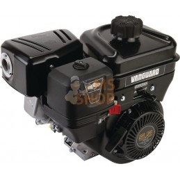 Moteur complet | BRIGGS & STRATTON Moteur complet | BRIGGS & STRATTONPR#211190