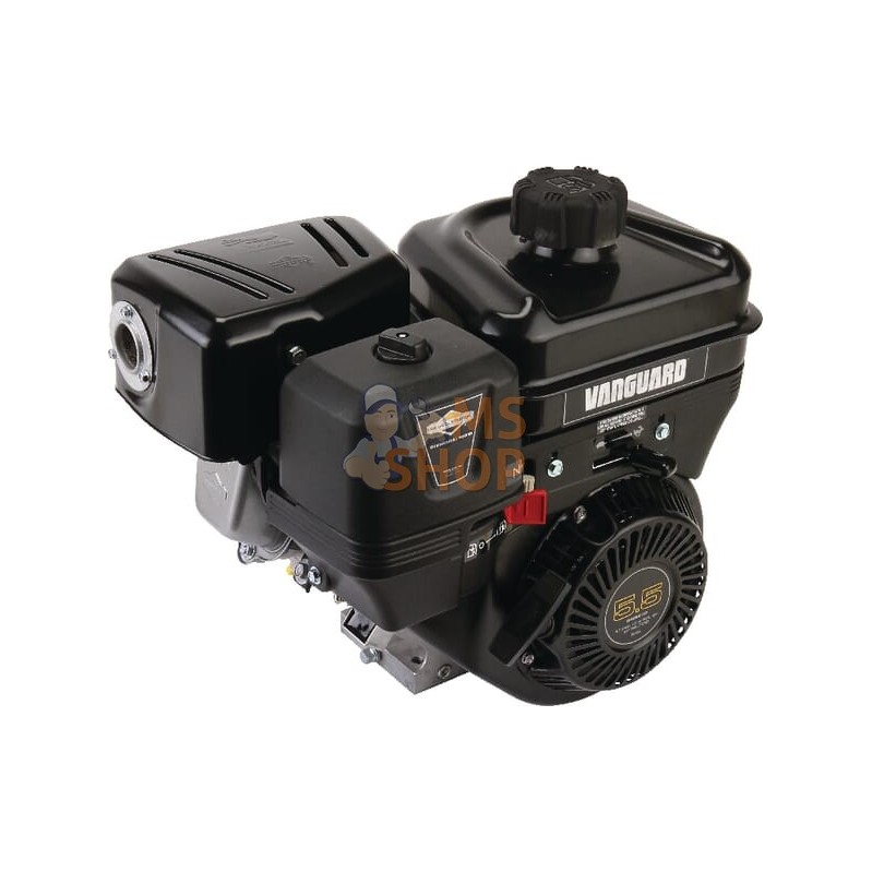 Moteur complet | BRIGGS & STRATTON Moteur complet | BRIGGS & STRATTONPR#211190