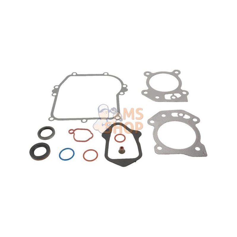 Kit de joints moteur | BRIGGS & STRATTON Kit de joints moteur | BRIGGS & STRATTONPR#1082937