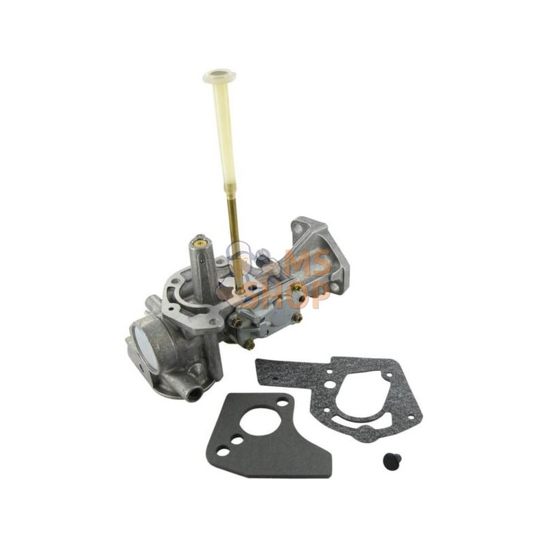 Carburateur | BRIGGS & STRATTON Carburateur | BRIGGS & STRATTONPR#25654
