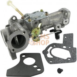 Carburateur | BRIGGS & STRATTON Carburateur | BRIGGS & STRATTONPR#25654