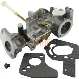 Carburateur | BRIGGS & STRATTON Carburateur | BRIGGS & STRATTONPR#25654