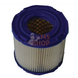 Filtre à air 4 x 393957S | BRIGGS & STRATTON Filtre à air 4 x 393957S | BRIGGS & STRATTONPR#10019