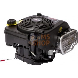 Moteur vertical, 6,8 HP, monocylindre, série 950 Pro, Briggs & Stratton | BRIGGS & STRATTON Moteur vertical, 6,8 HP, monocylindr