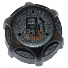 Bouchon de réservoir de carburant (4132/4150 | BRIGGS & STRATTON Bouchon de réservoir de carburant (4132/4150 | BRIGGS & STRATTO
