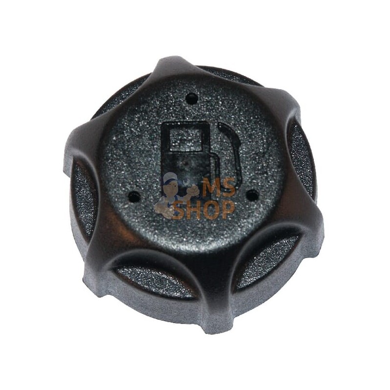 Bouchon de réservoir de carburant (4132/4150 | BRIGGS & STRATTON Bouchon de réservoir de carburant (4132/4150 | BRIGGS & STRATTO