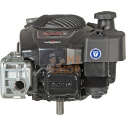 Moteur vertical, 5,9 HP, monocylindre, série 850E, Briggs & Stratton | BRIGGS & STRATTON Moteur vertical, 5,9 HP, monocylindre, 