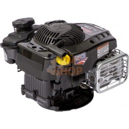 Moteur vertical, 5,4 HP, monocylindre, série 675 Exi, Briggs & Stratton | BRIGGS & STRATTON Moteur vertical, 5,4 HP, monocylindr