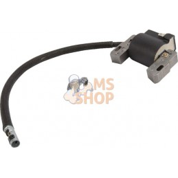 Bobine d'allumage B&S | BRIGGS & STRATTON Bobine d'allumage B&S | BRIGGS & STRATTONPR#25214