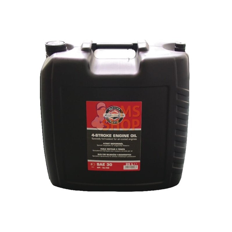 Huile moteur SAE30 - 25l | BRIGGS & STRATTON Huile moteur SAE30 - 25l | BRIGGS & STRATTONPR#211747