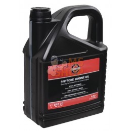 Huile SAE 30 5L | BRIGGS & STRATTON Huile SAE 30 5L | BRIGGS & STRATTONPR#211648