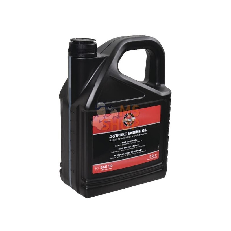 Huile SAE 30 5L | BRIGGS & STRATTON Huile SAE 30 5L | BRIGGS & STRATTONPR#211648