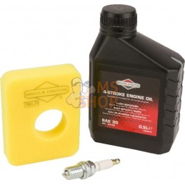 Kit entretien série 450E, 500E | BRIGGS & STRATTON Kit entretien série 450E, 500E | BRIGGS & STRATTONPR#26521