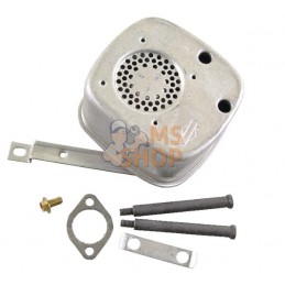 Echappement | BRIGGS & STRATTON Echappement | BRIGGS & STRATTONPR#42266