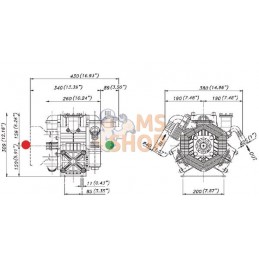 Pompe Poly 2116-VS Bertolini | BERTOLINI Pompe Poly 2116-VS Bertolini | BERTOLINIPR#724049