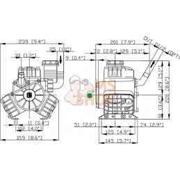 Pompe PA 330.1-VF Bertolini | BERTOLINI Pompe PA 330.1-VF Bertolini | BERTOLINIPR#723939