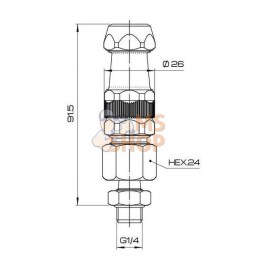 Buse de pulvérisateur M60 15mm | BRAGLIA Buse de pulvérisateur M60 15mm | BRAGLIAPR#784094