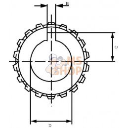 Accouplement | BORELLI Accouplement | BORELLIPR#917655