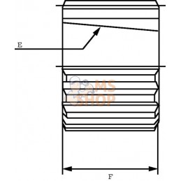 Accouplement | BORELLI Accouplement | BORELLIPR#917653