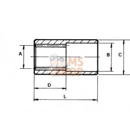 Accouplement | BORELLI Accouplement | BORELLIPR#917640