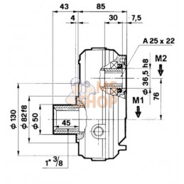 Boîtier GBF-20-S-1-3.8 (M/Gr2) | BORELLI Boîtier GBF-20-S-1-3.8 (M/Gr2) | BORELLIPR#909259