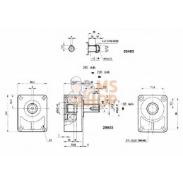 Palier d'accouplement 22mm | BORELLI Palier d'accouplement 22mm | BORELLIPR#909185