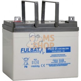 Batterie GEL 12 V 31 Ah  | FULBAT Batterie GEL 12 V 31 Ah  | FULBATPR#1086743