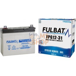 Batterie GEL 12 V 31 Ah  | FULBAT Batterie GEL 12 V 31 Ah  | FULBATPR#1086743