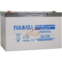 Batterie GEL 12 V 100 Ah  | FULBAT Batterie GEL 12 V 100 Ah  | FULBATPR#1086747