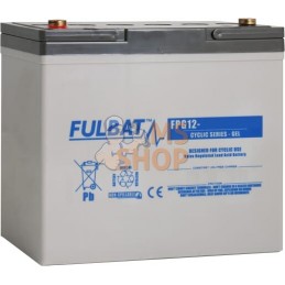 Batterie GEL 12 V 60 Ah  | FULBAT Batterie GEL 12 V 60 Ah  | FULBATPR#1086753