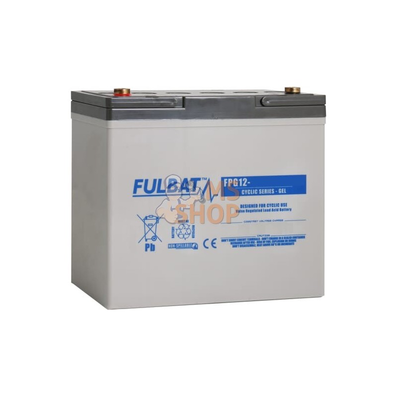 Batterie GEL 12 V 60 Ah  | FULBAT Batterie GEL 12 V 60 Ah  | FULBATPR#1086753