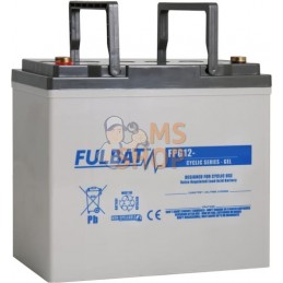 Batterie GEL 12 V 60 Ah  | FULBAT Batterie GEL 12 V 60 Ah  | FULBATPR#1086753