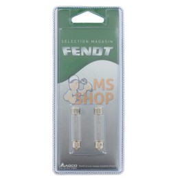 Ampoule 12V 10W SV8,5 (2x) | FENDT BLISTER Ampoule 12V 10W SV8,5 (2x) | FENDT BLISTERPR#1086955