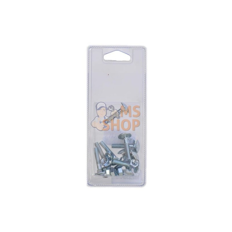 Boulon de commerce M6x30 (10x) | FENDT BLISTER Boulon de commerce M6x30 (10x) | FENDT BLISTERPR#1087420 Boulon de commerce M6x30 (10x) | FENDT BLISTER Boulon de commerce M6x30 (10x) | FENDT BLISTERPR#1087420